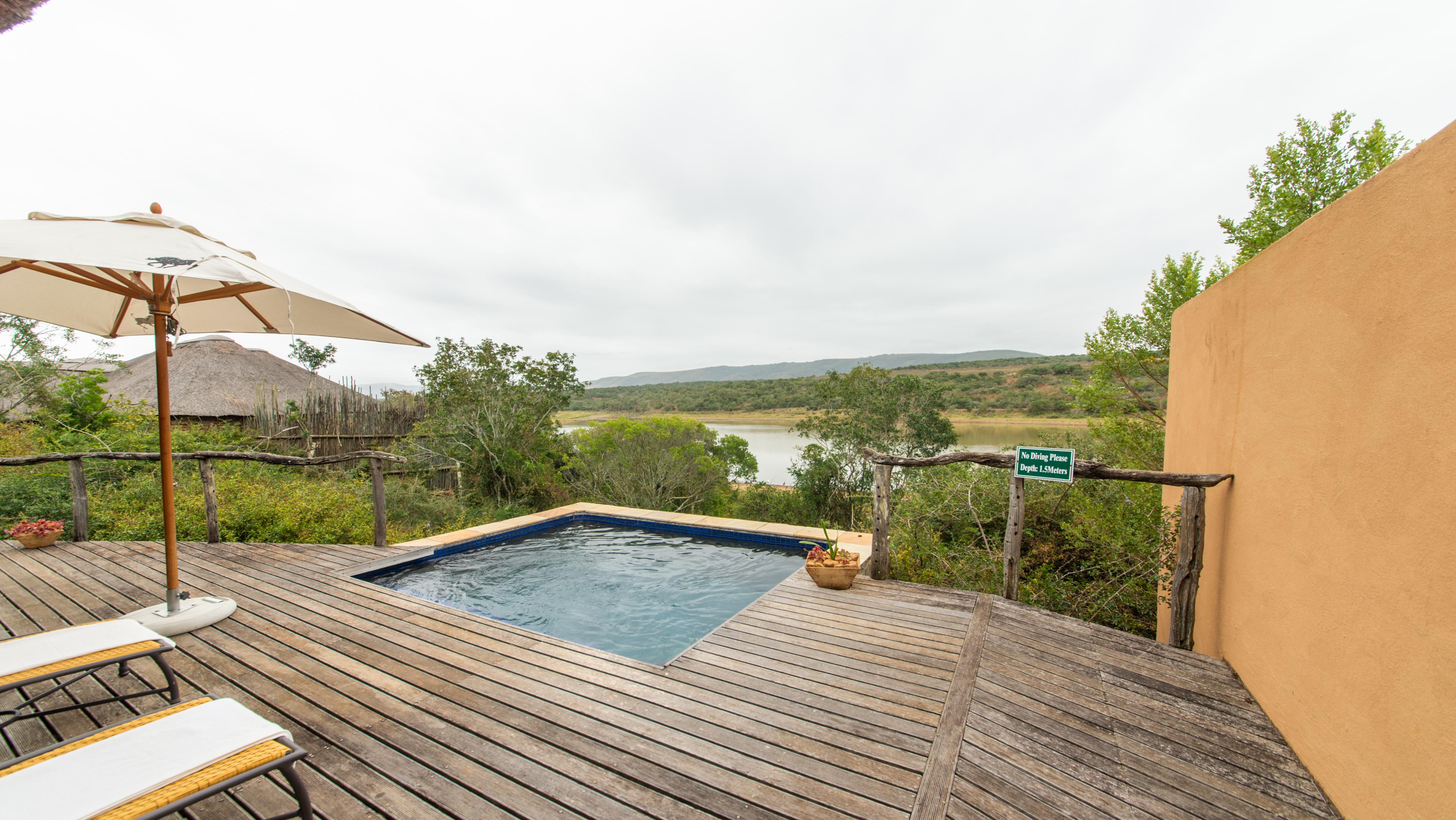 Pumba Private Game Reserve Port Elizabeth Extérieur photo