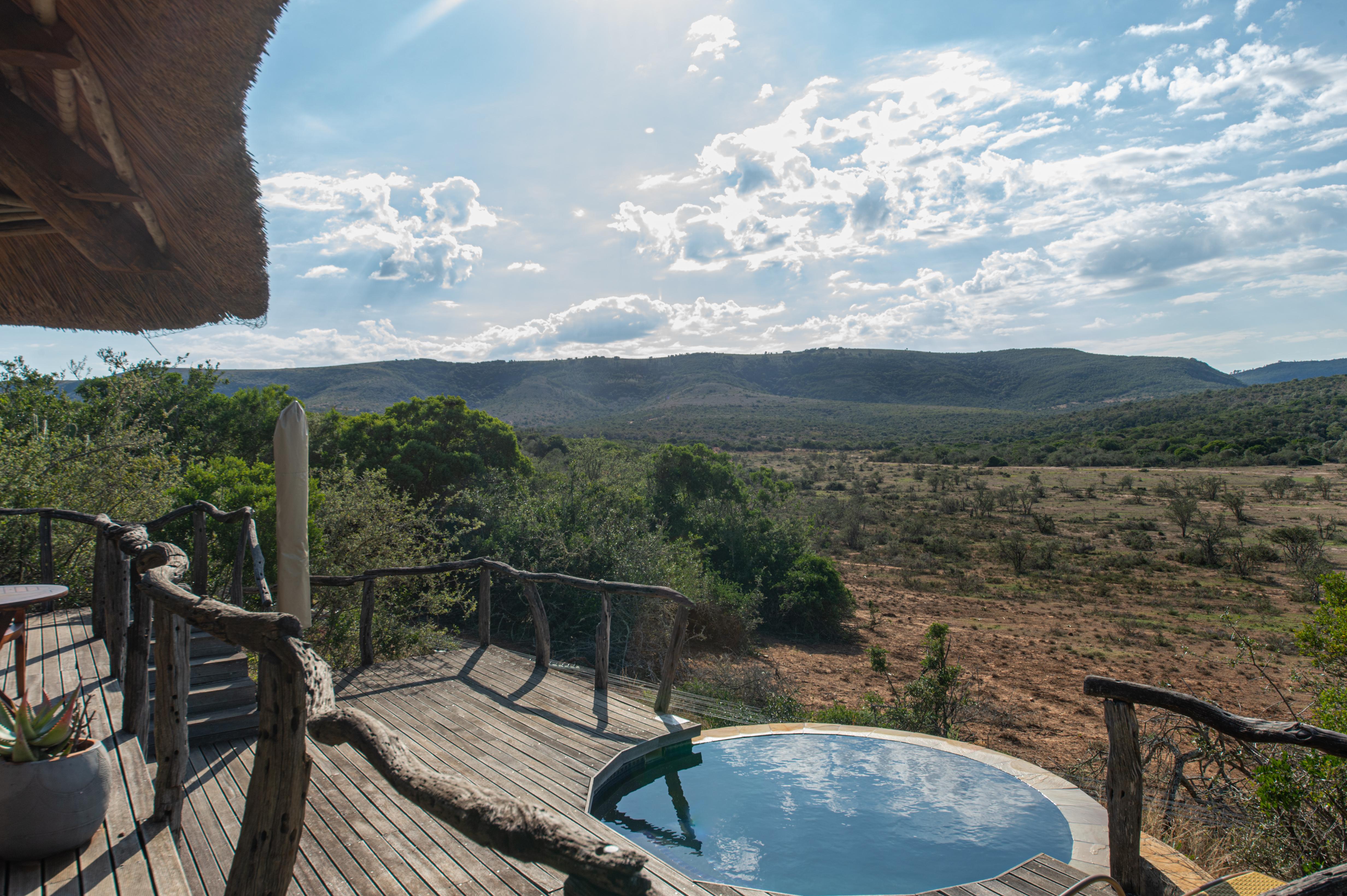 Pumba Private Game Reserve Port Elizabeth Extérieur photo