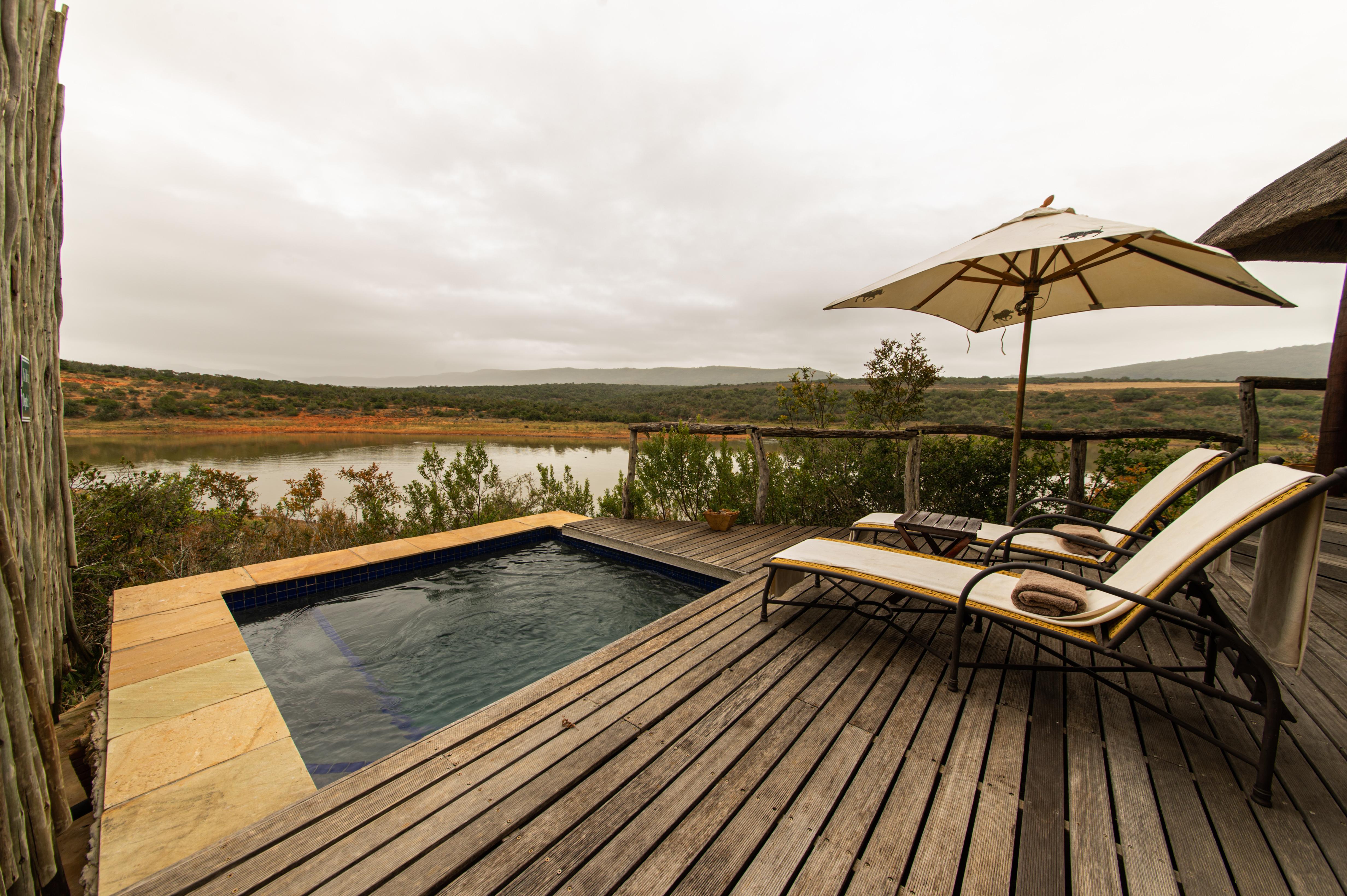 Pumba Private Game Reserve Port Elizabeth Extérieur photo
