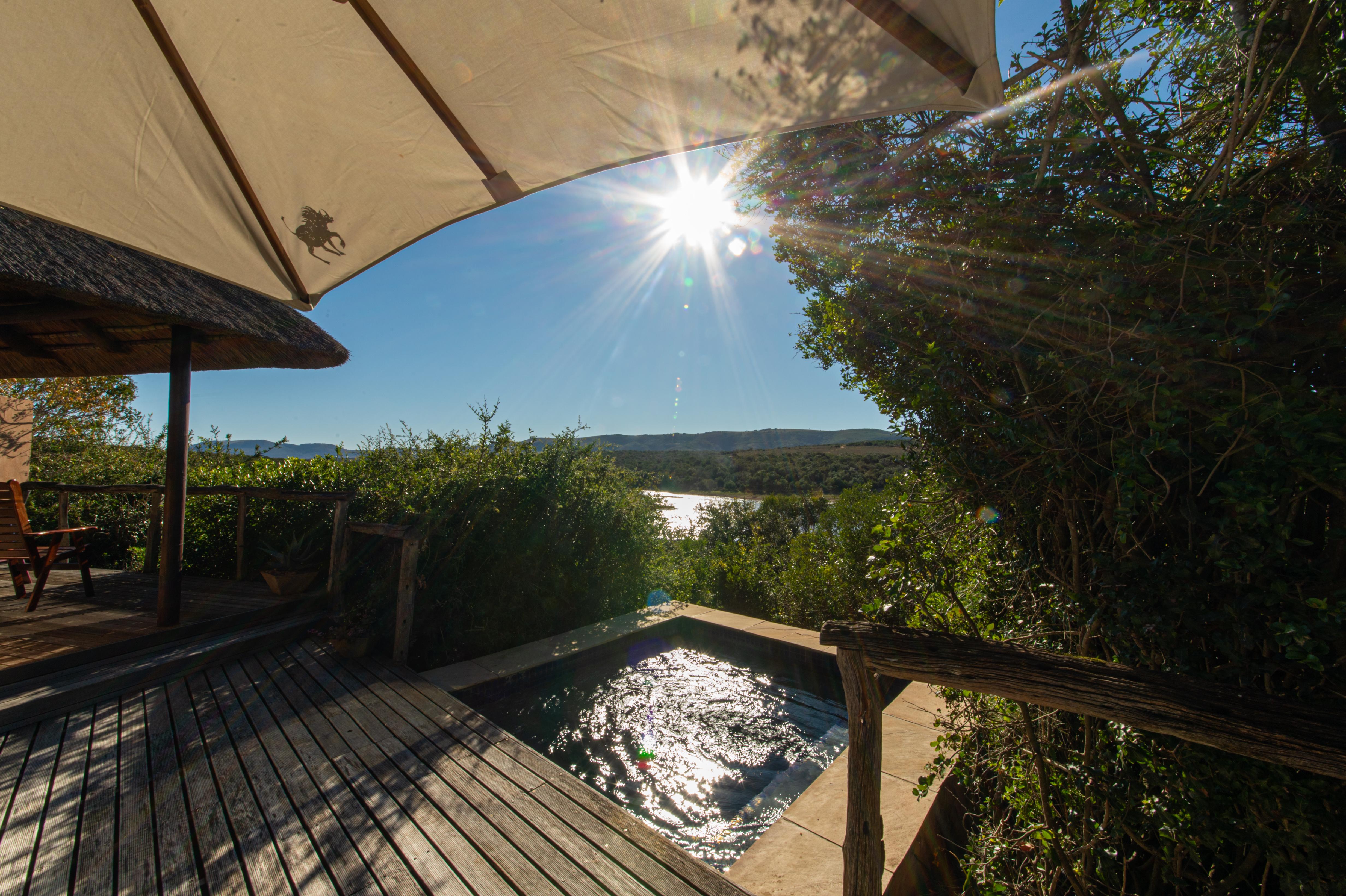 Pumba Private Game Reserve Port Elizabeth Extérieur photo