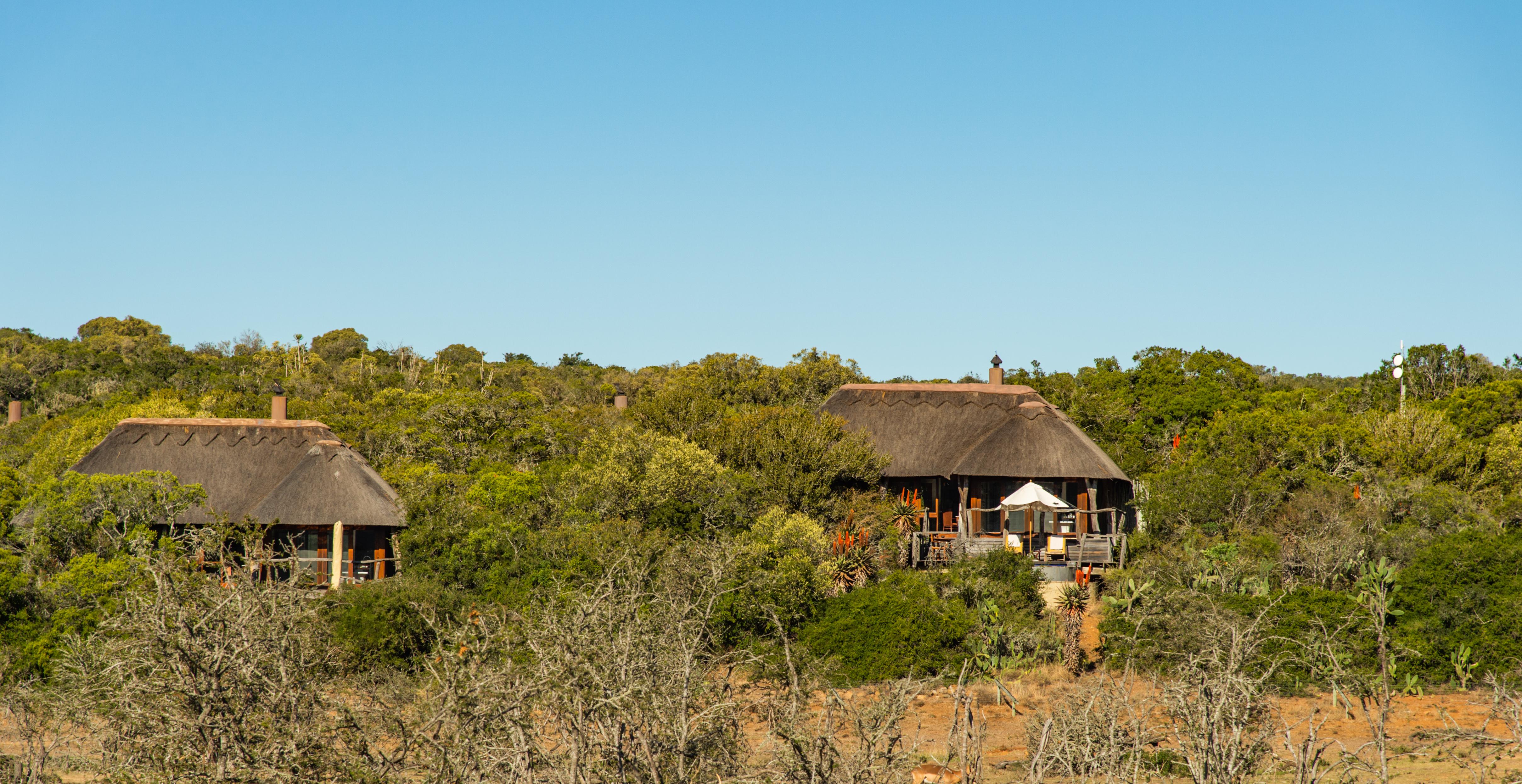Pumba Private Game Reserve Port Elizabeth Extérieur photo