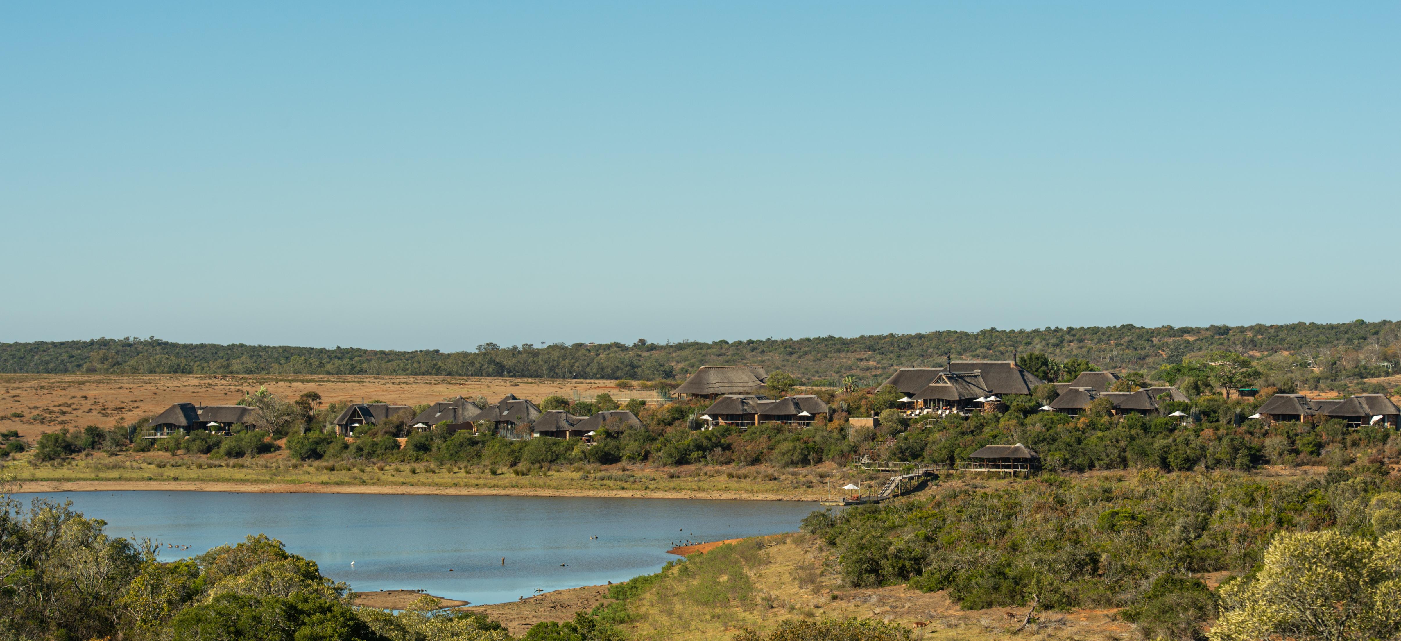 Pumba Private Game Reserve Port Elizabeth Extérieur photo