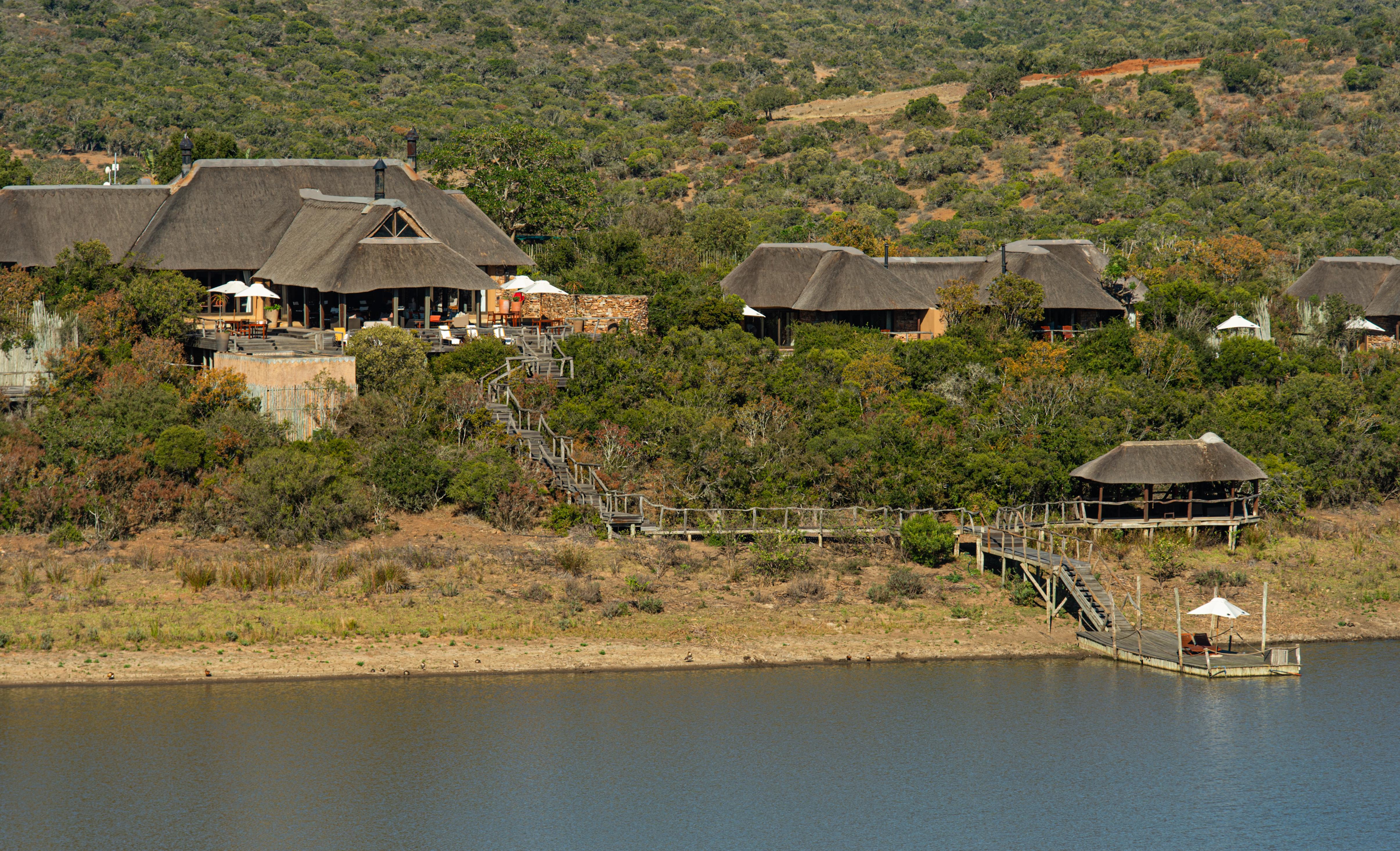 Pumba Private Game Reserve Port Elizabeth Extérieur photo
