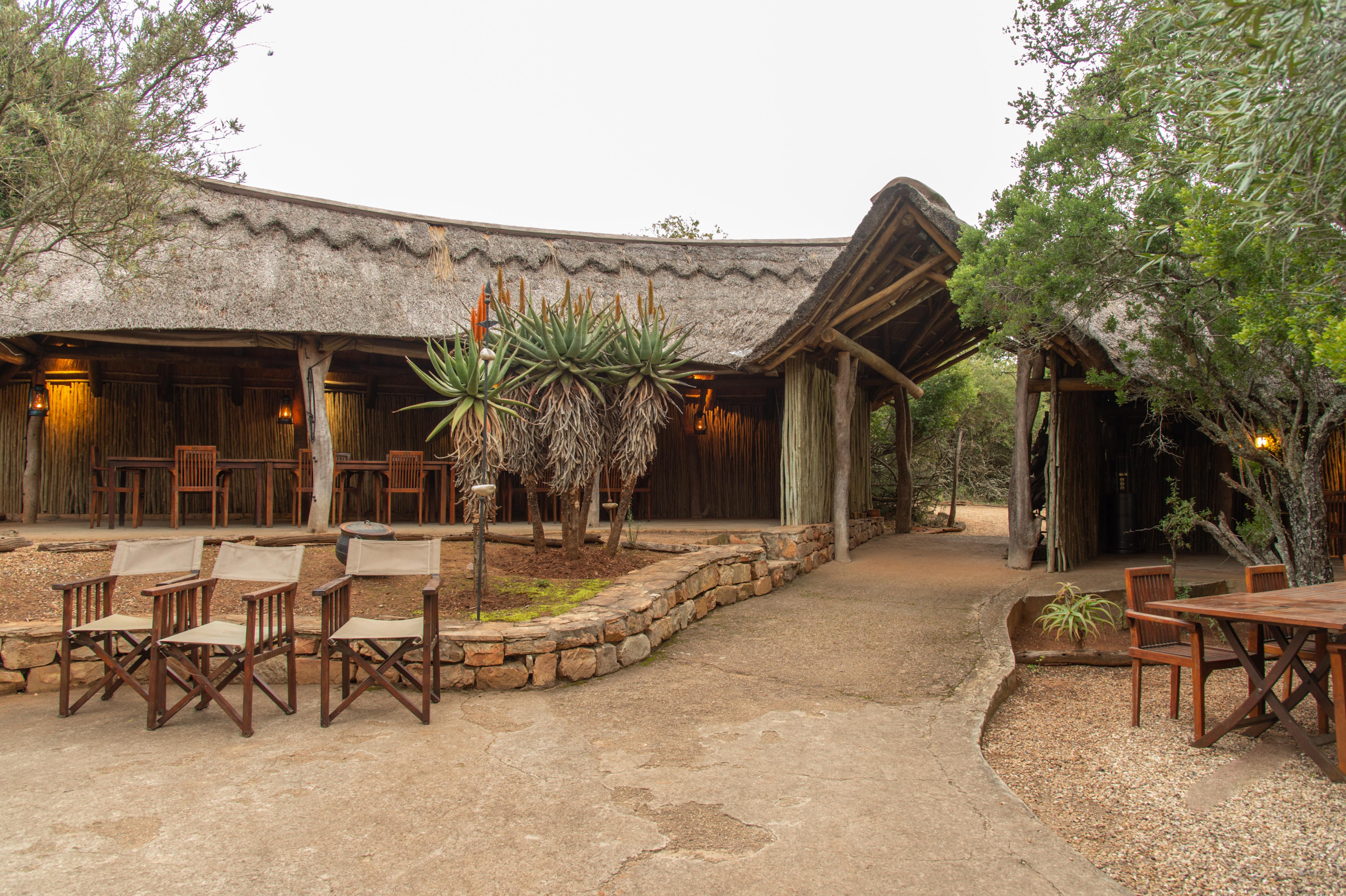 Pumba Private Game Reserve Port Elizabeth Extérieur photo