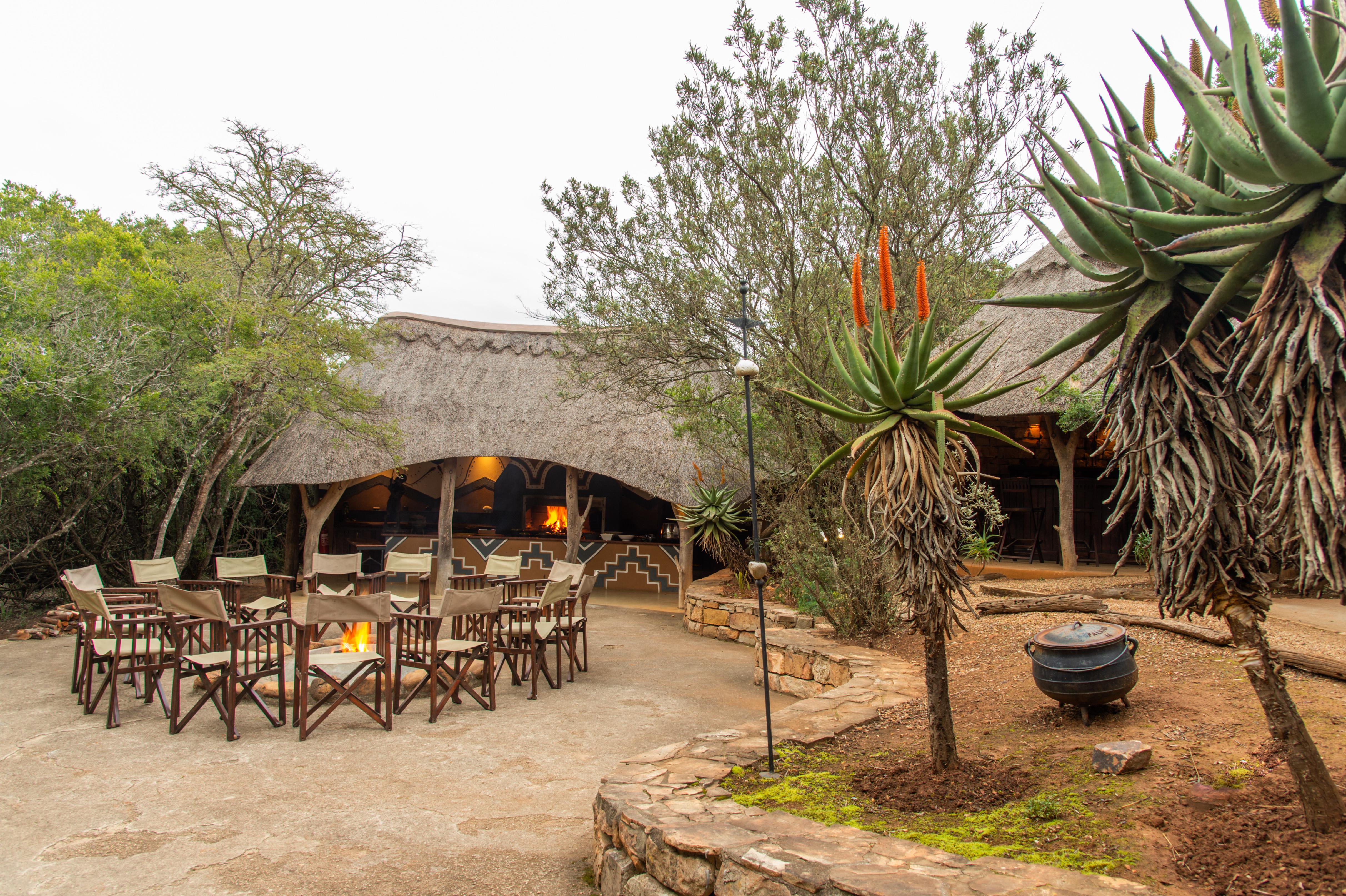 Pumba Private Game Reserve Port Elizabeth Extérieur photo
